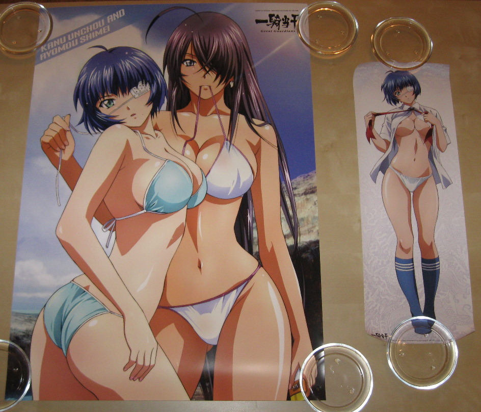 Rounding things off, I picked up another Ikki Tousen poster (seen here with 