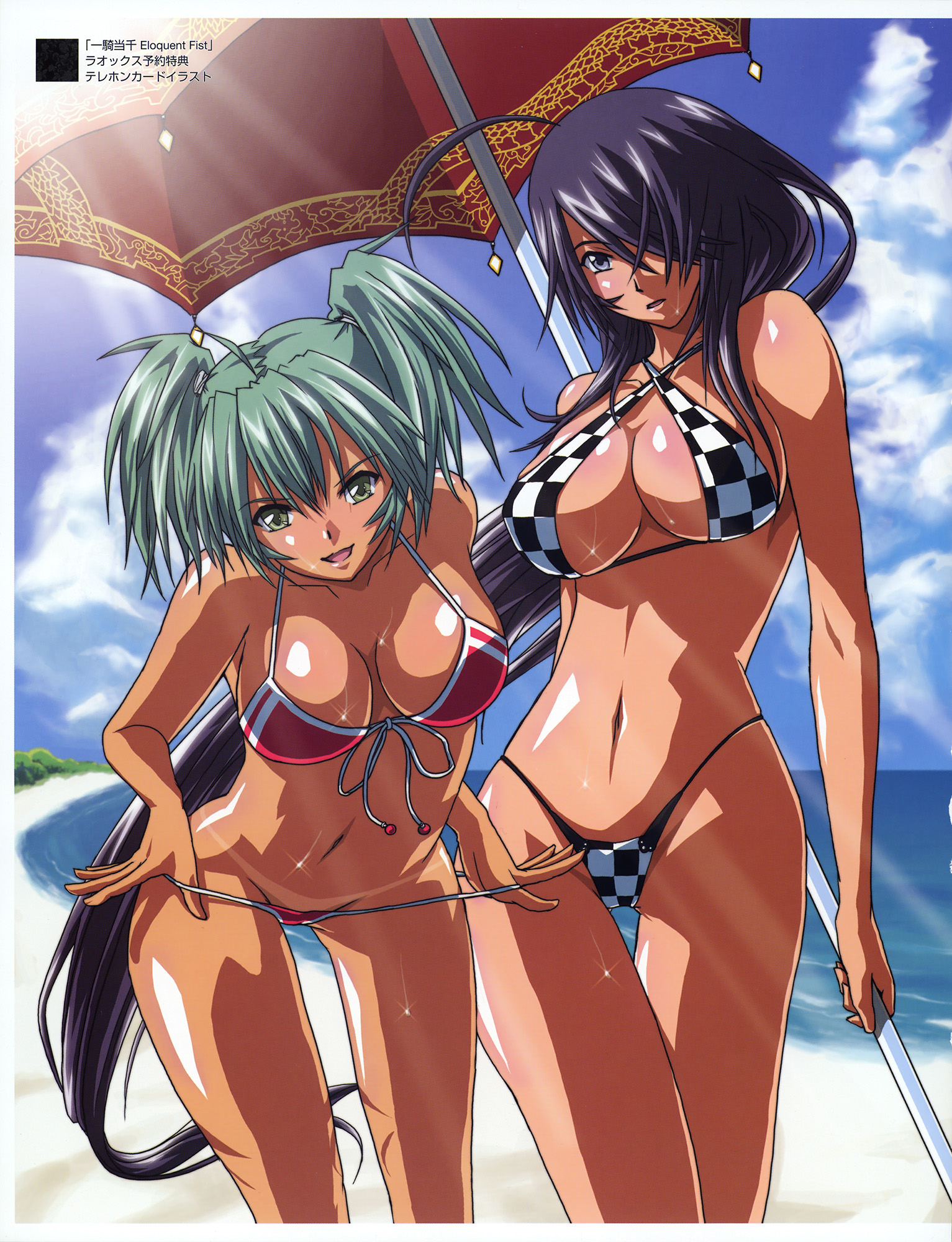 Index of /images/gallery/Misc/Ikki Tousen Book of Breasts Artbook.