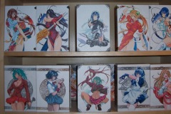 Ikki Tousen