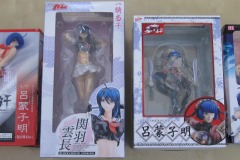 Ikki Tousen Figures