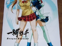 ikki-tousen-sdcc-2008-poster-01