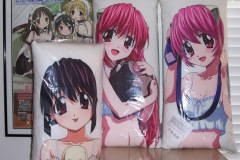 Pillows and Covers