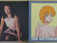 southern-cross-vinyl-05