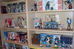 Theme Shelves
